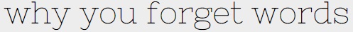 Why you forget words